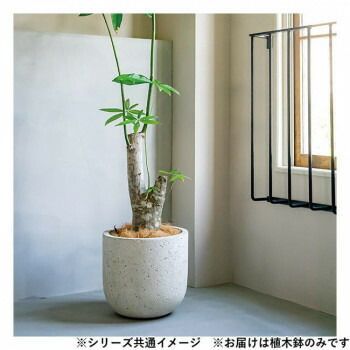 真葛香山 山水植木鉢 大 盆栽 （□盆器大図鑑【下巻】 検：真葛