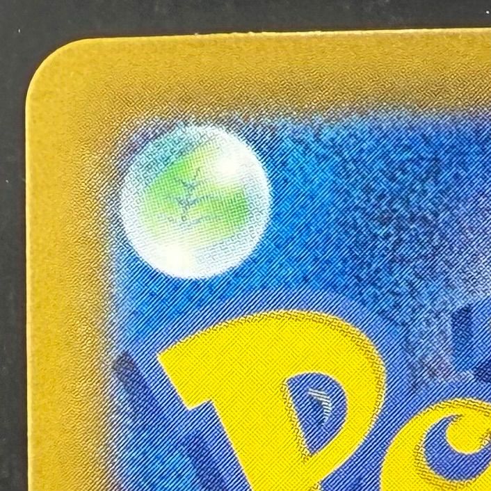 ポケモンカード ルチアのアピール SAR 楽園ドラゴーナ 091/064