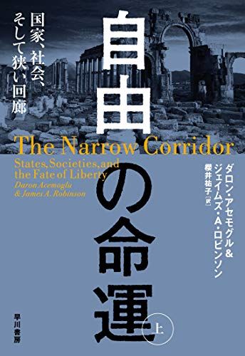 自由の命運 上: 国家、社会、そして狭い回廊／ダロン アセモグル、ジェイムズ A ロビンソン、Daron Acemogl