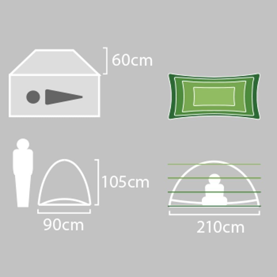1P