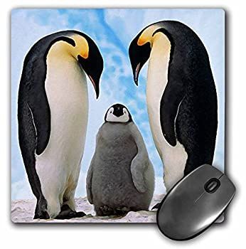 ショップ 3Dローズ 鳥 - 皇帝ペンギン家族 - マウス パッド - マウス