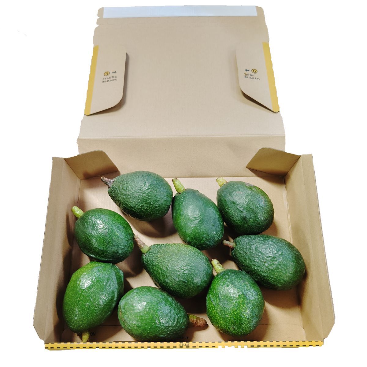 国産　愛媛県中島産　アボカド　品種ベーコン 国産 愛媛県中島産 アボカド 品種ベーコン 【公式通販】