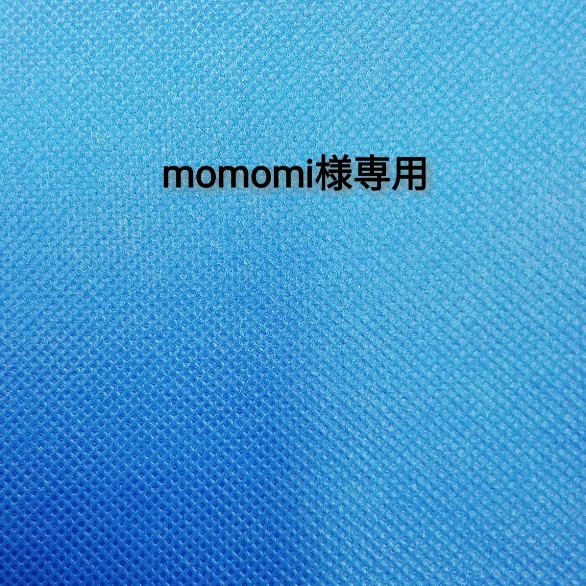 momomi♡様専用 - 文房具/事務用品