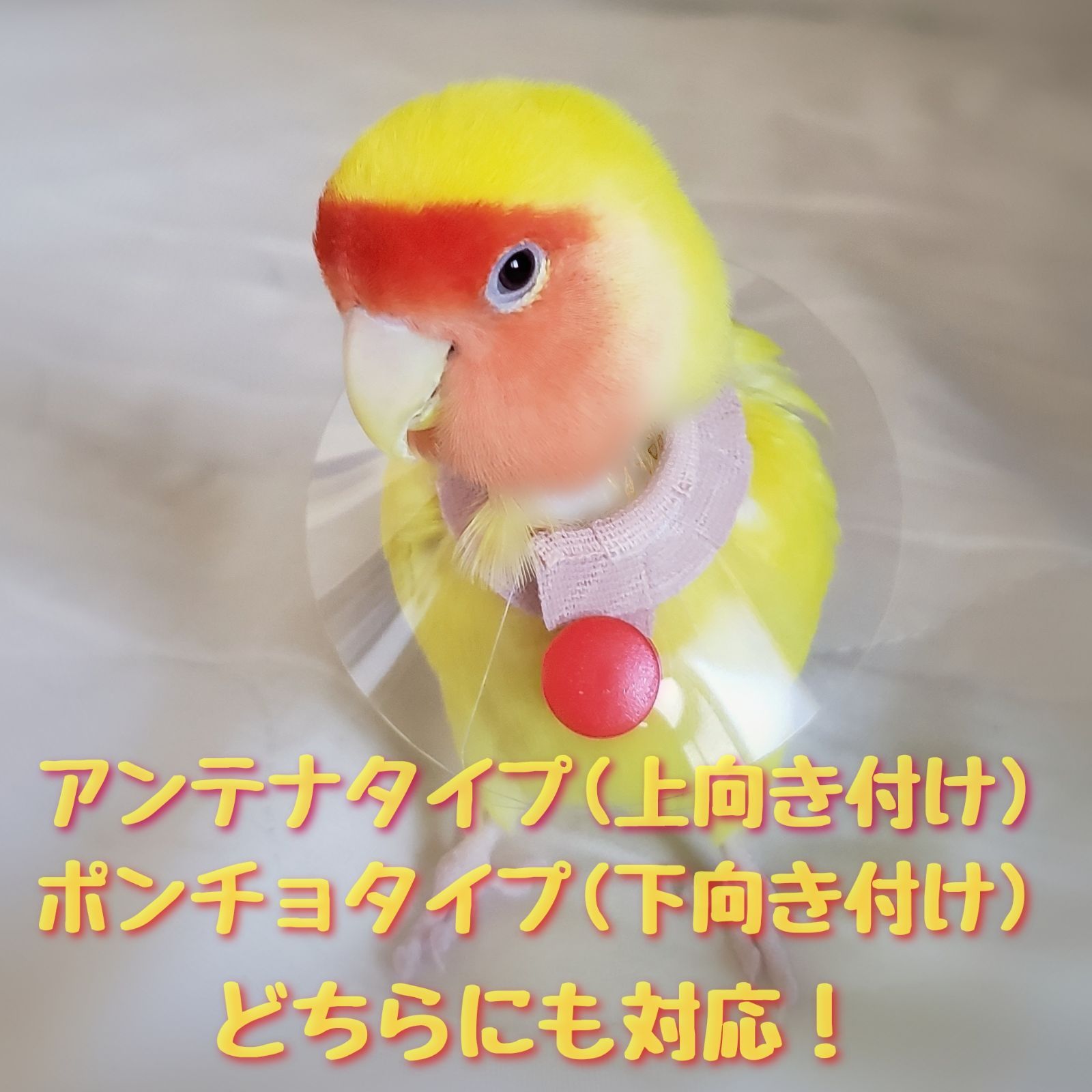 インコ エリザベスカラー(ポンチョタイプ)1枚・3サイズ・3色・3g