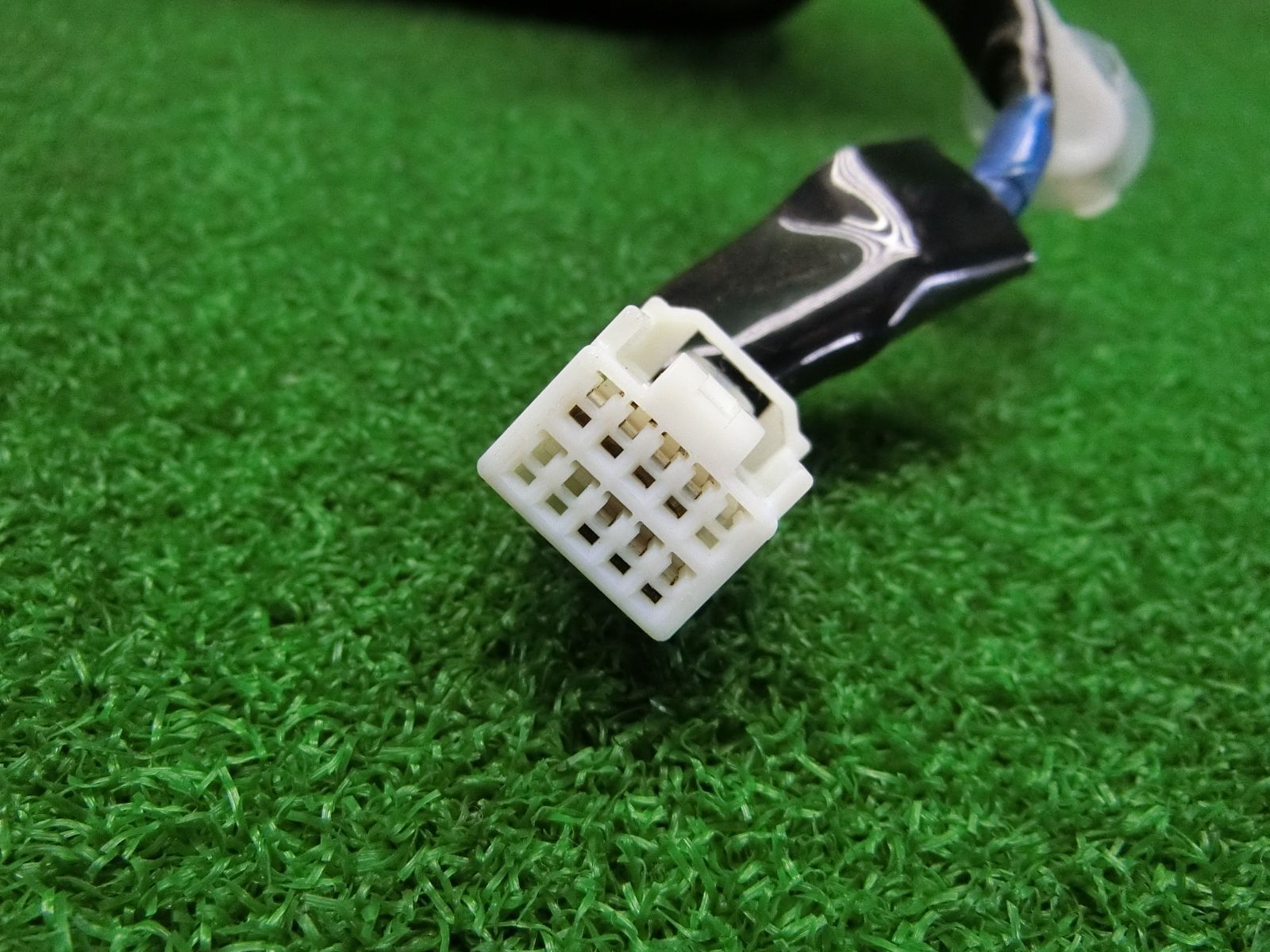 WCS2025 アナハイム ポケセンセンター 限定 ウインディ Tシャツ M