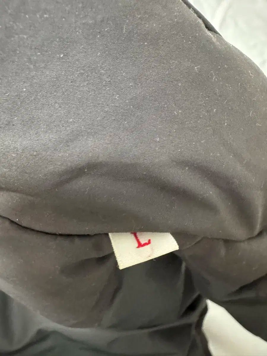 ダントン