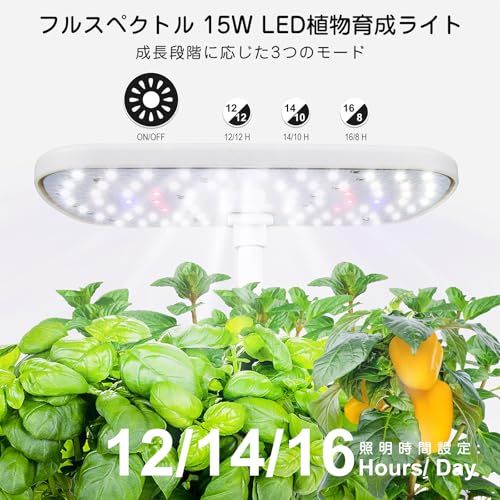 水耕栽培キット すいこう栽培キット 家庭菜園 室内 水耕栽培 水中