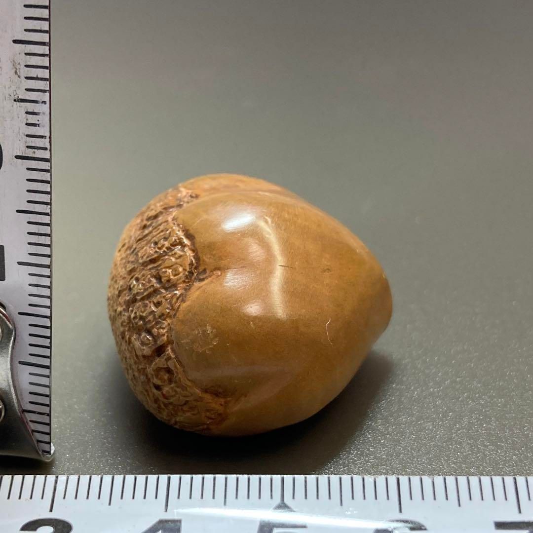  栗根付 13 g 横幅約3.5㎝ 本Y 5-0616 トエカ その他 小物