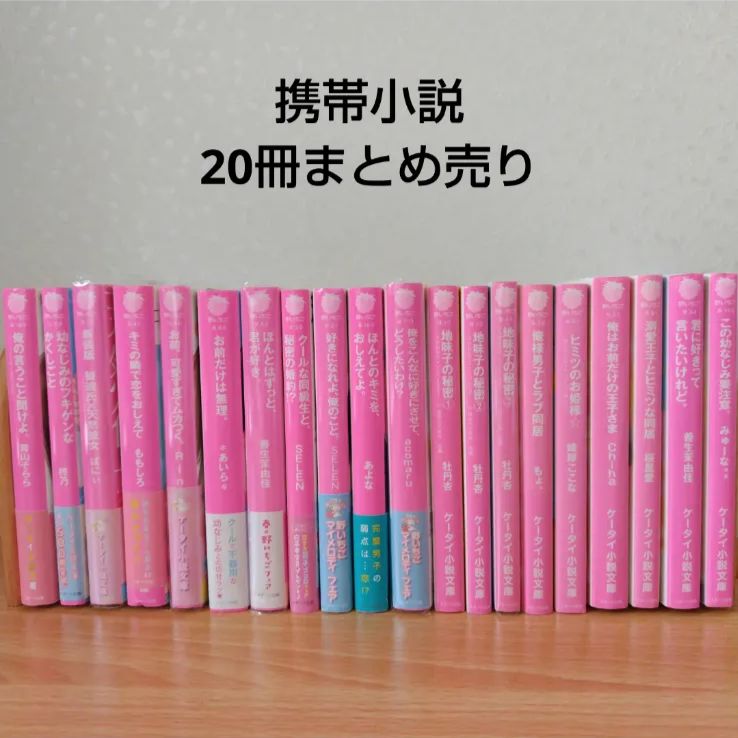 小説20冊 【公式通販】