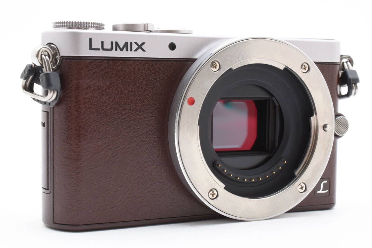 美品 Panasonic パナソニック LUMIX DMC-GM1S ボディ パナソニック、新カラ-＆機能追加でリニューアルした「LUMIX