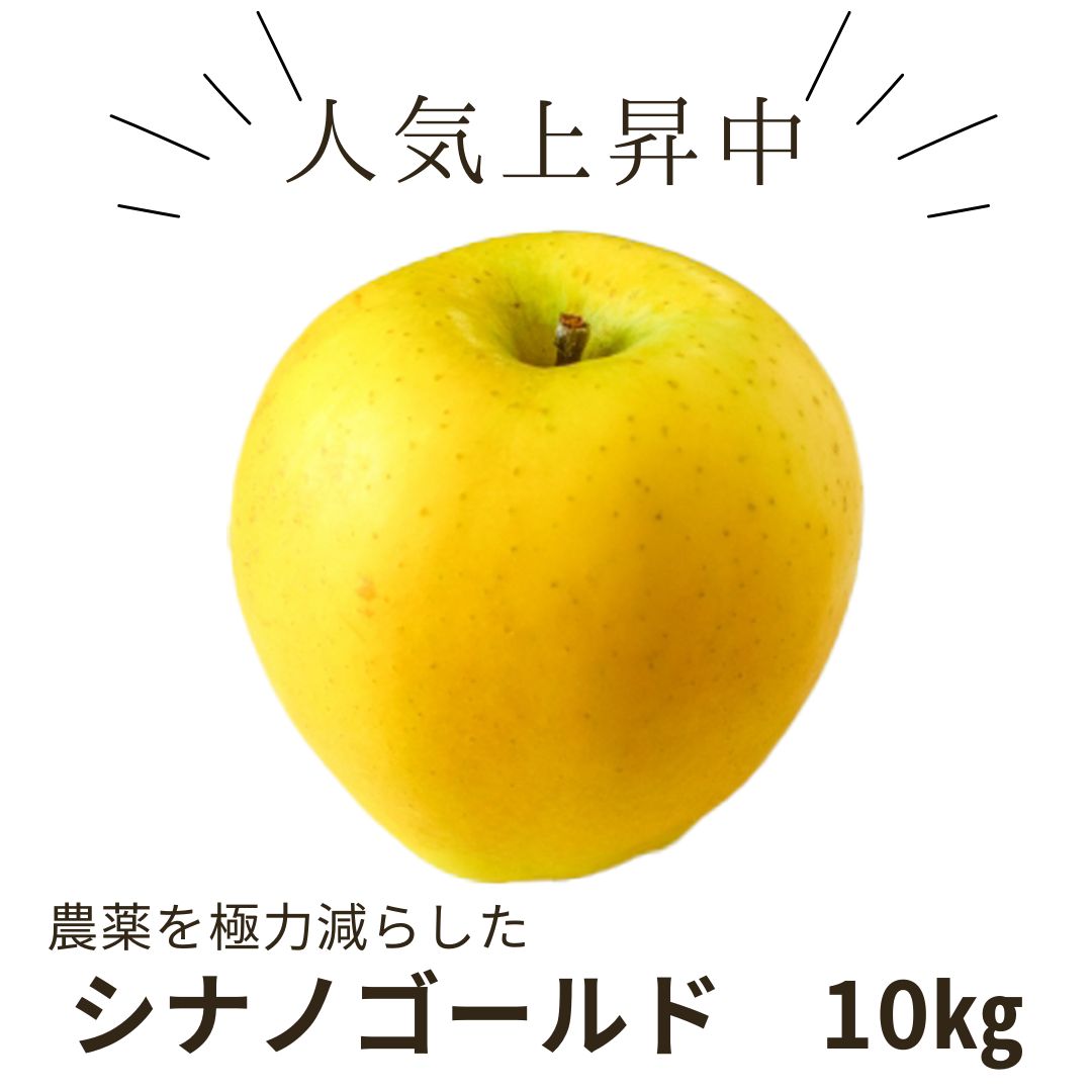 【信州】シナノゴールド10㎏(11月上旬発送開始予定)