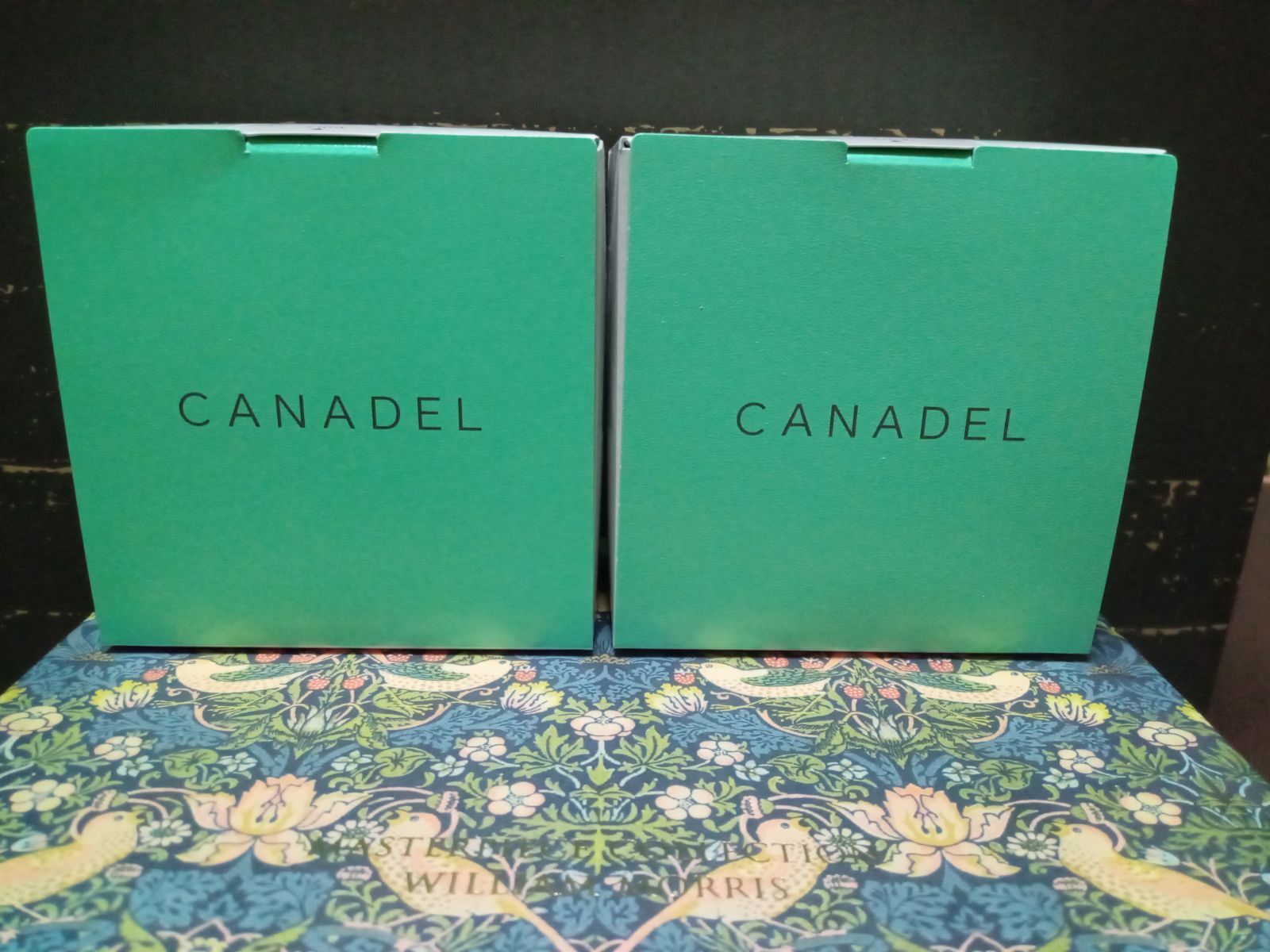 CANADEL カナデル プレミアバリアフィックス 58㌘ 2個 - メルカリ