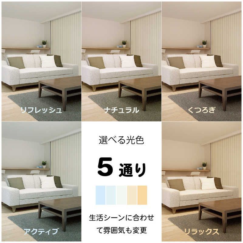 未開梱 ホタルクス LEDシーリングライト 8畳 昼光色 リモコン付属 HLDZ08403SG