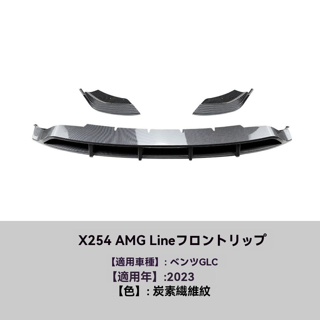 2025 カーボン調