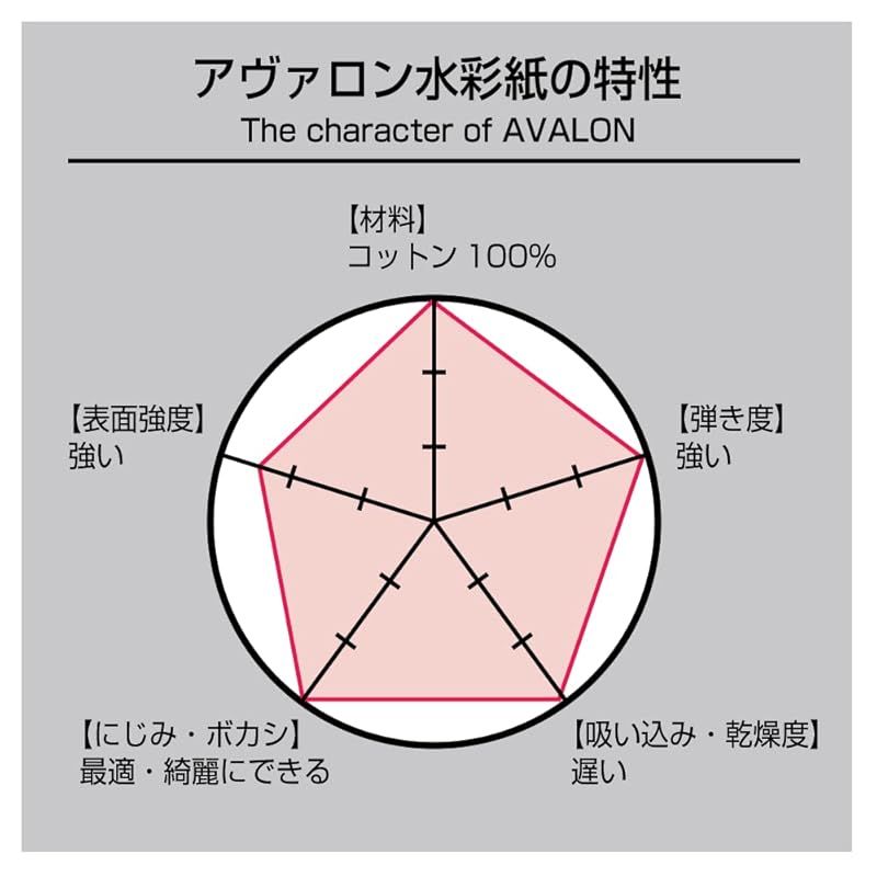 ホルベイン アヴァロン水彩紙 AVB-F8 中目 300g F8サイズ ブロックタイプ 12枚綴じ 0 SKLAD-KIRPICHA_RU