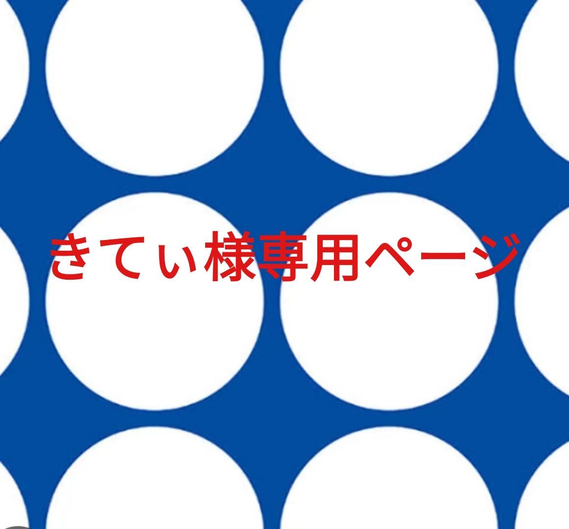 きてぃ様専用ページです。 - メルカリ