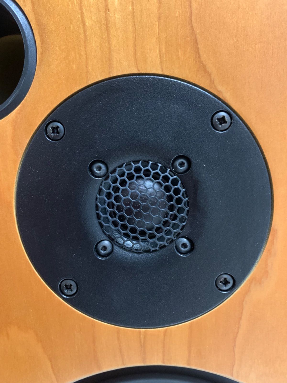monitor30.1