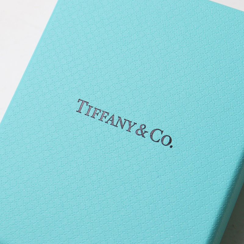 美品 希少 ティファニー TIFFANY&Co エナメルフィニッシュ チェーン 