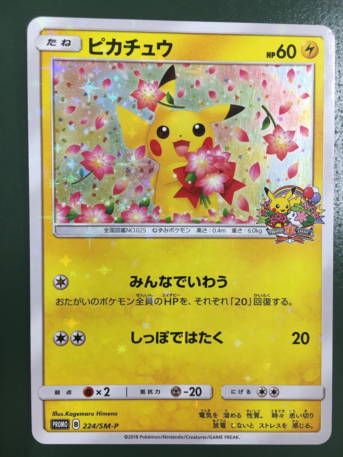 ピカチュウ 224/SM-P ポケモンカード ポケカ