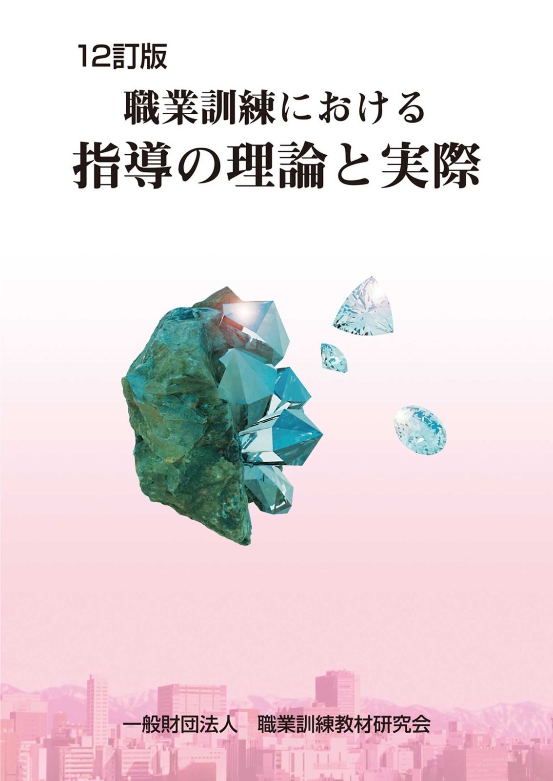 12訂版 職業訓練における指導の理論と実際 【公式通販】