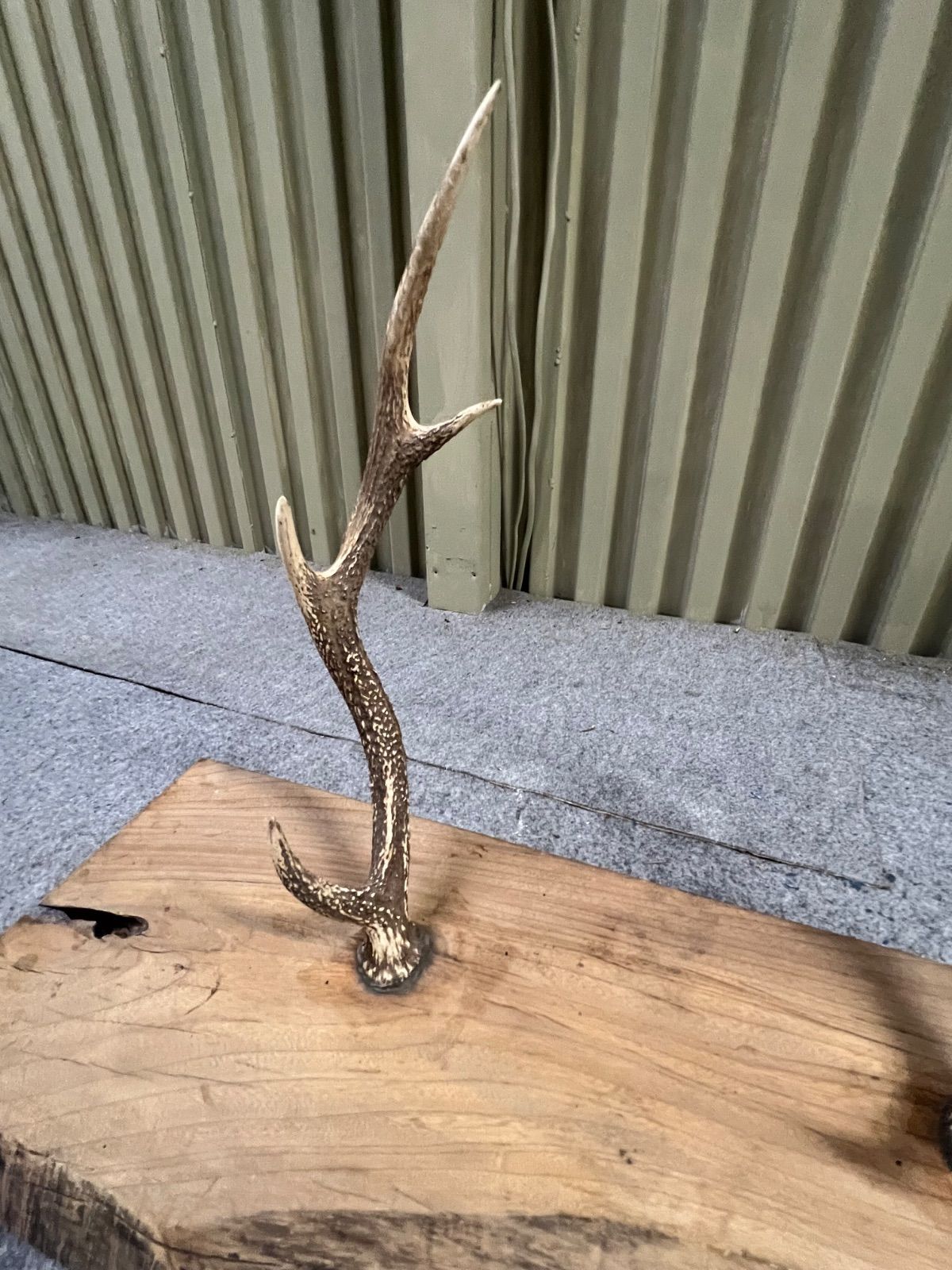 【神像　木彫女神　仏像　外国物 佛　仏】◆仏教美術 インテリア　オブジェ　美術 神像 木彫女神 仏像 外国物 佛 仏】◇仏教美術 インテリア