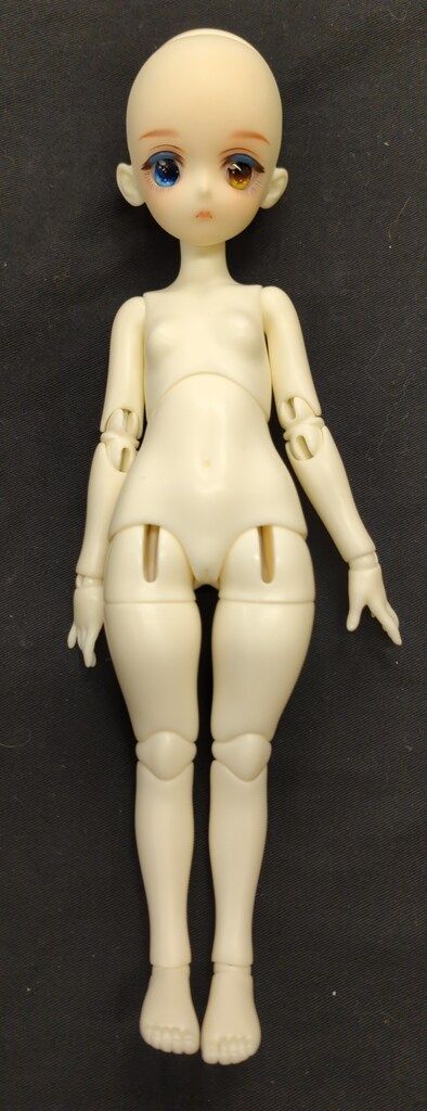 DOLK×DOLLZONE 1|6DOLL Miyou Odd-Eyed Maid Cat Girl ver.