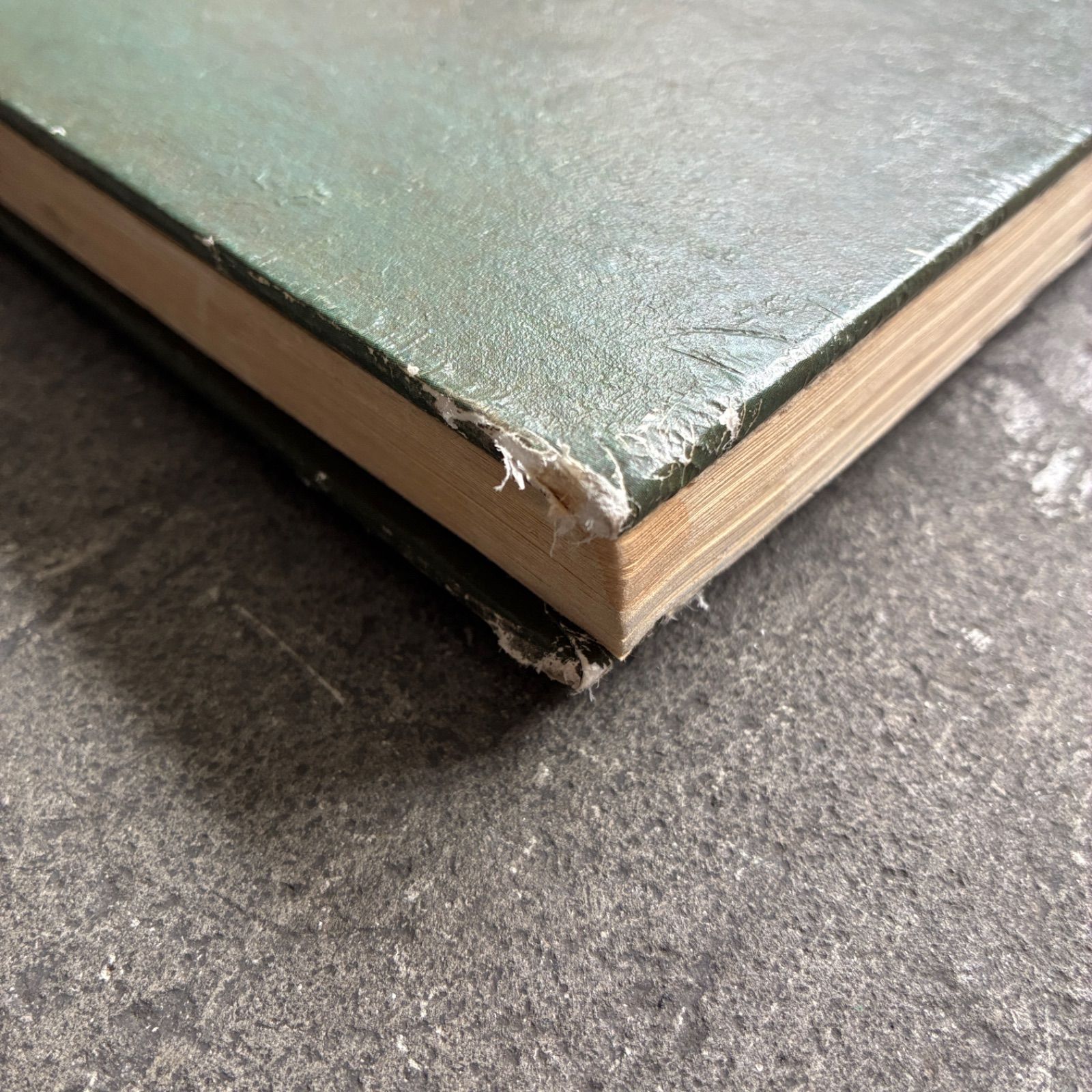 ハードカバー版** Whole Earth Epilog（ホールアースエピローグ