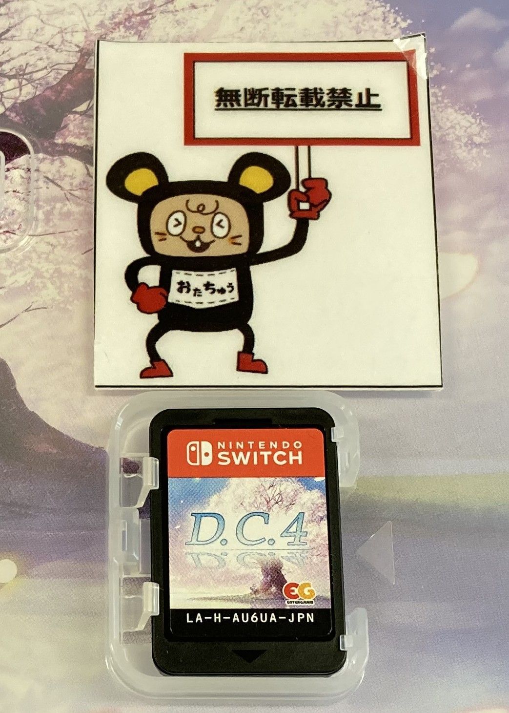 Nintendo