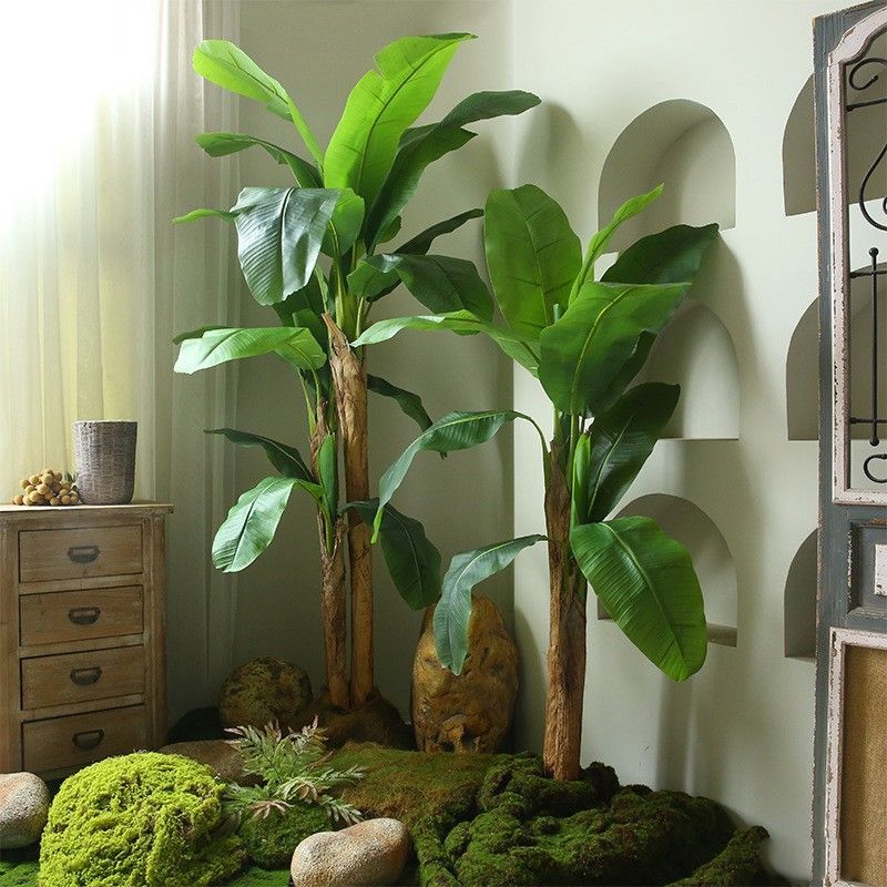 れもん ふるさと納税】やちむん植木鉢作り体験 ガジュマル付き【SDGs