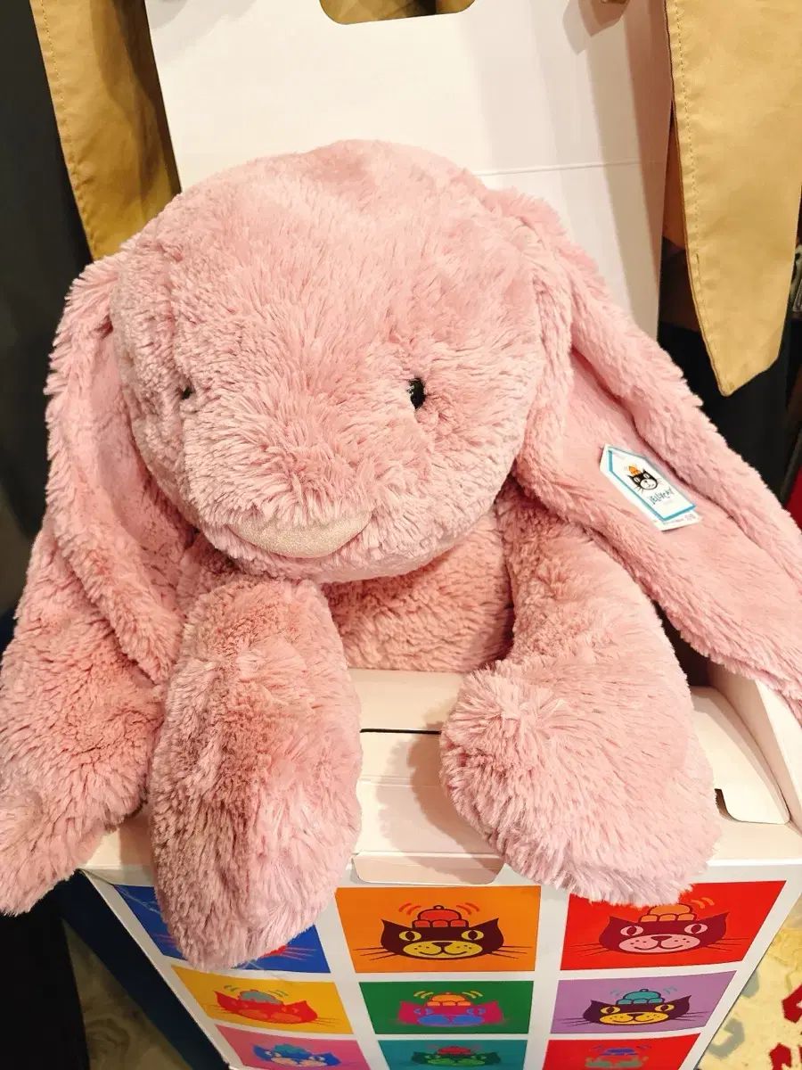 KIKI 様専用 ゼオスキン 新品 3点セット アウトレット kiki様専用