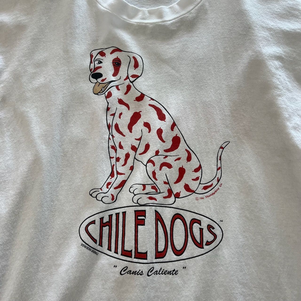 90s USA anvil シングルステッチ 両面プリント CHILE DOGS 