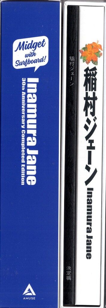 稲村ジェーン