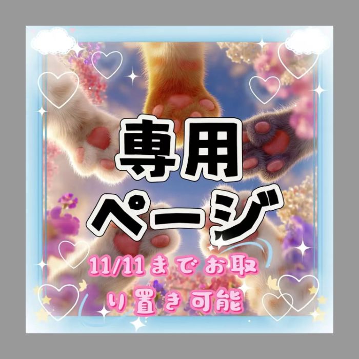 KANA様 kanaさま専用 なな様☆専用 nakaさま専用 Ninja ZXシリーズ