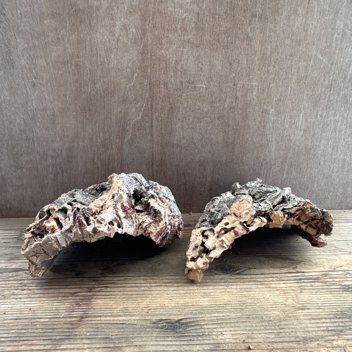  資材 Ａセット コルクセット 入り 4キロ コルク 板 板付 コウモリラン ビカクシダ 着生ラン ラン 観葉植物 観葉 植物 塊根植物 塊根 コーデックス 着生植物 着生 シダ植物 シダ エアプランツ エアープランツ チランジア ブロメリア おうち時間 その他 アレンジメント用品 資材