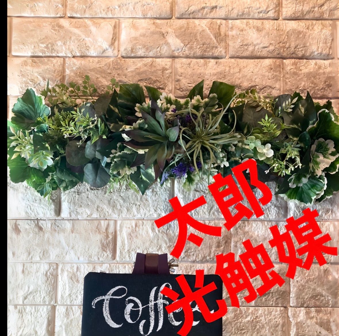 光触媒　人工観葉植物　ウォールグリーン　フェイクグリーン　シェフレア123t'P Amazon｜触媒 人工観葉植物 ウォールグリーン フェイクグリーン