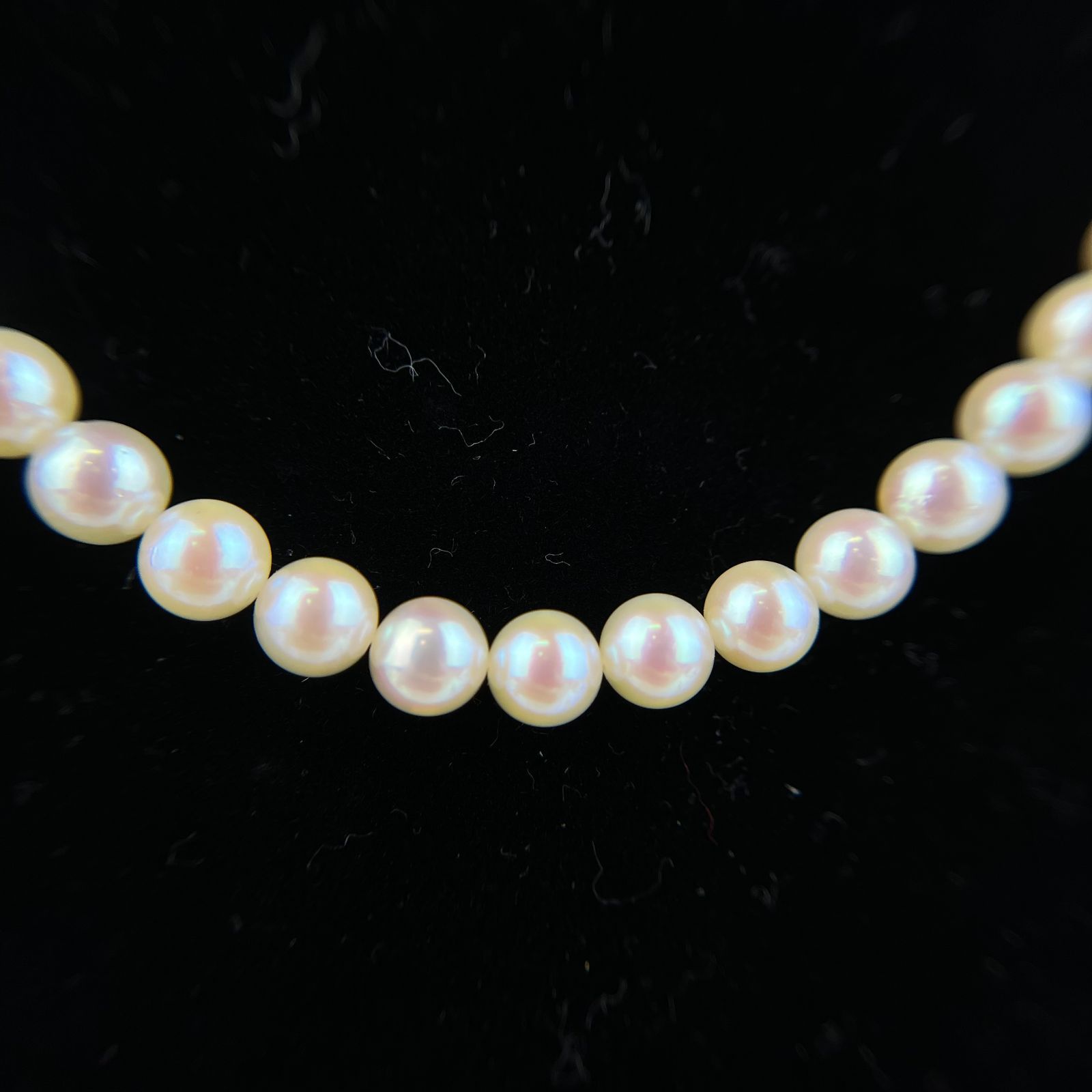 MIKIMOTO ミキモト アクセサリー ネックレス パールネックレス  