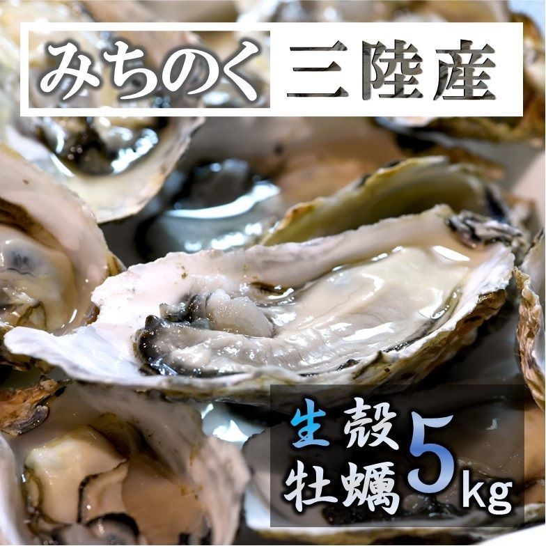 生食OK 5kg 三陸産 殻付き生牡蠣 数量限定 新鮮 宮城 鉄分 ミネラル豊富-0