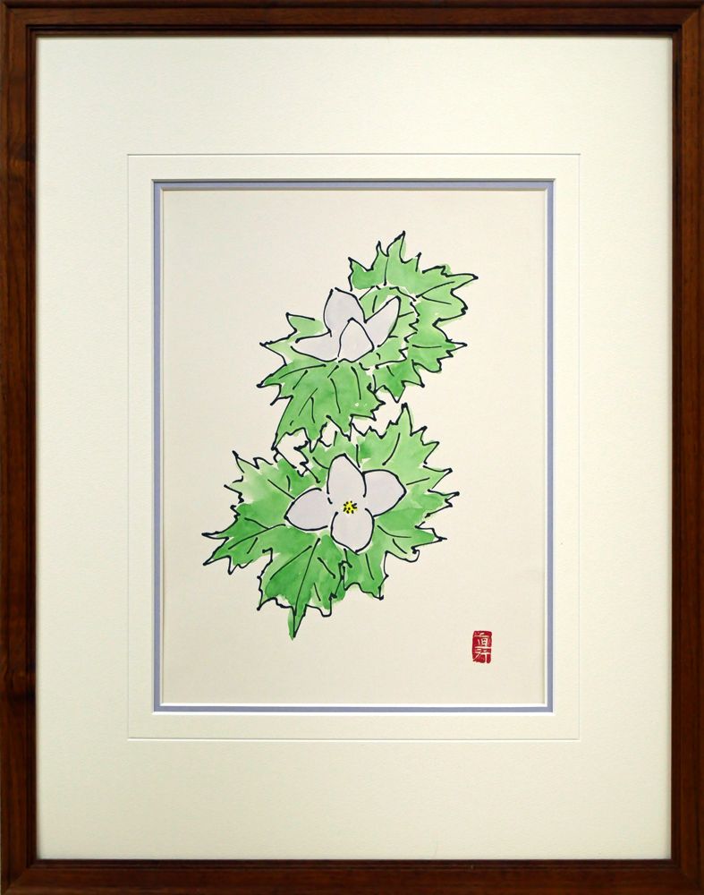坂本直行 【なわしろいちご】 水彩画 1980 貴重 六花亭 北海道 sddefault.jpg