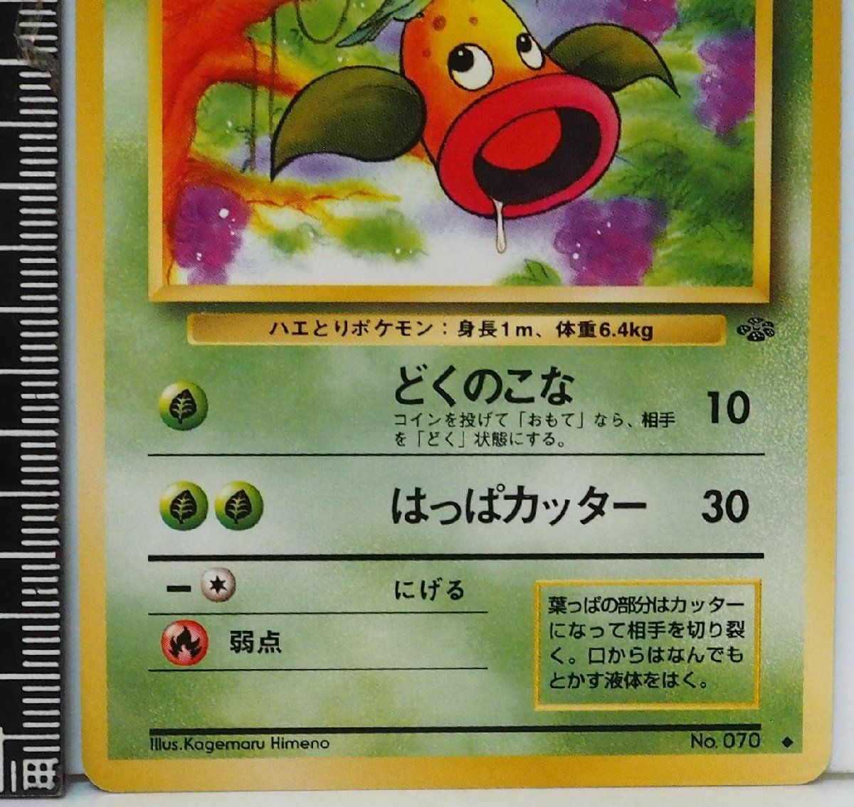旧裏・海外版　ポケモンジャングルデッキ草・闘 旧裏 第2弾「ポケモンジャングル」 / Jungle