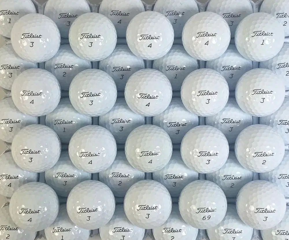 タイトリスト PRO V1 V1x 30個 ゴルフボール ロストボール A A