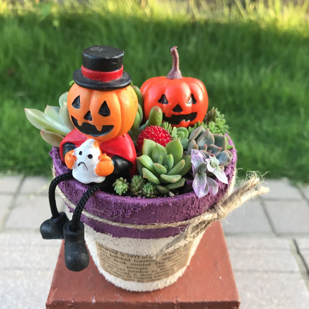 ♡そのまま飾れる♡リメ鉢♬ハロウィンの多肉植物寄せ植え