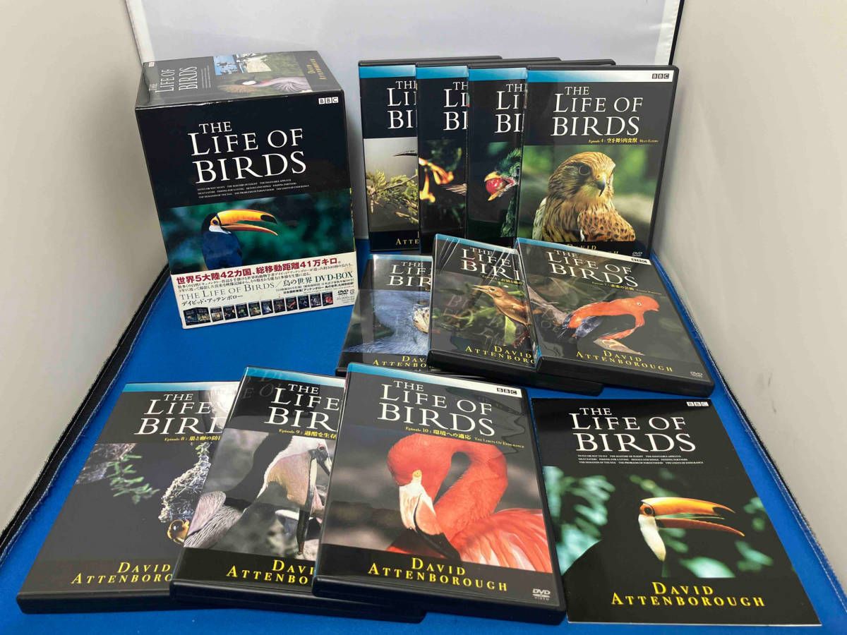 DVD 美品 BBC ライフ・オブ・バーズ/鳥の世界 DVD-BOX
