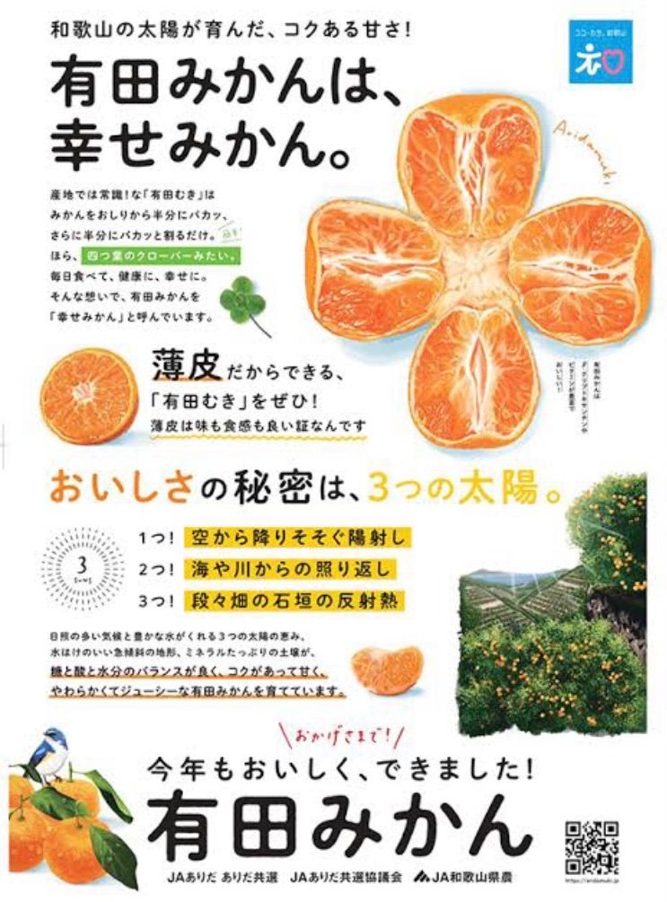 有田みかん農家直送ブランド味わい美人極旨小粒箱込み２０キロ 有田みかん農家直送🌟ブランド味わい美人小粒手まりみかん