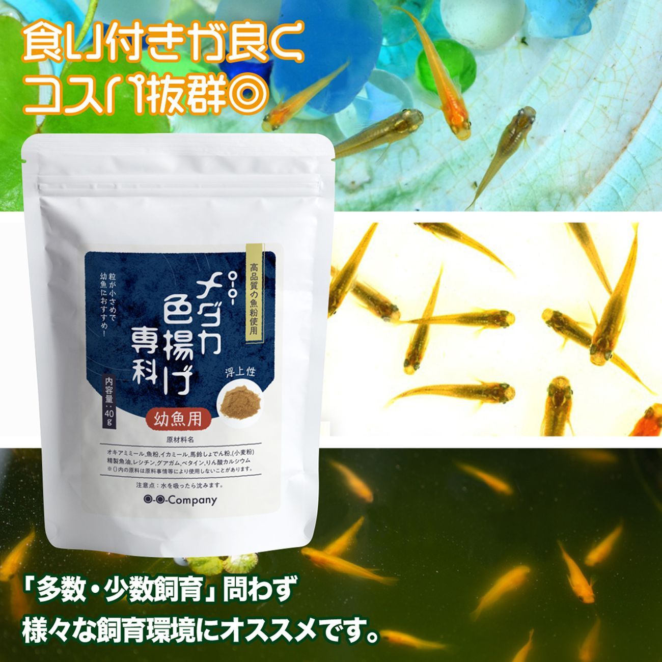Aqteria ミジンコのえさ