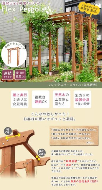 バラ 薔薇
