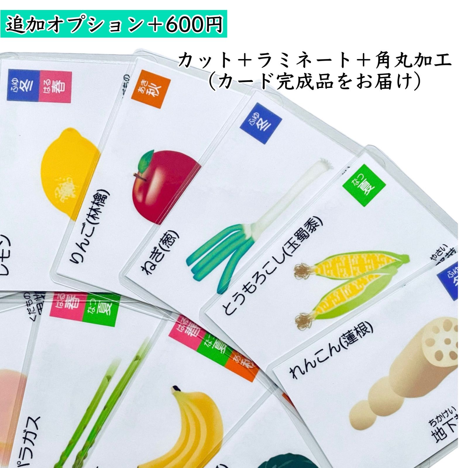 野菜・果物カード 小学校受験教材 理科的常識 幼児教育 知育 断面図 きせつカード - メルカリ