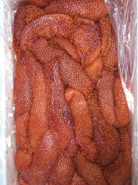 予約発送】北海道産☆最高級生筋子 (約1kg)☆新物 いくら スジコ 秋鮭 筋子 - メルカリ