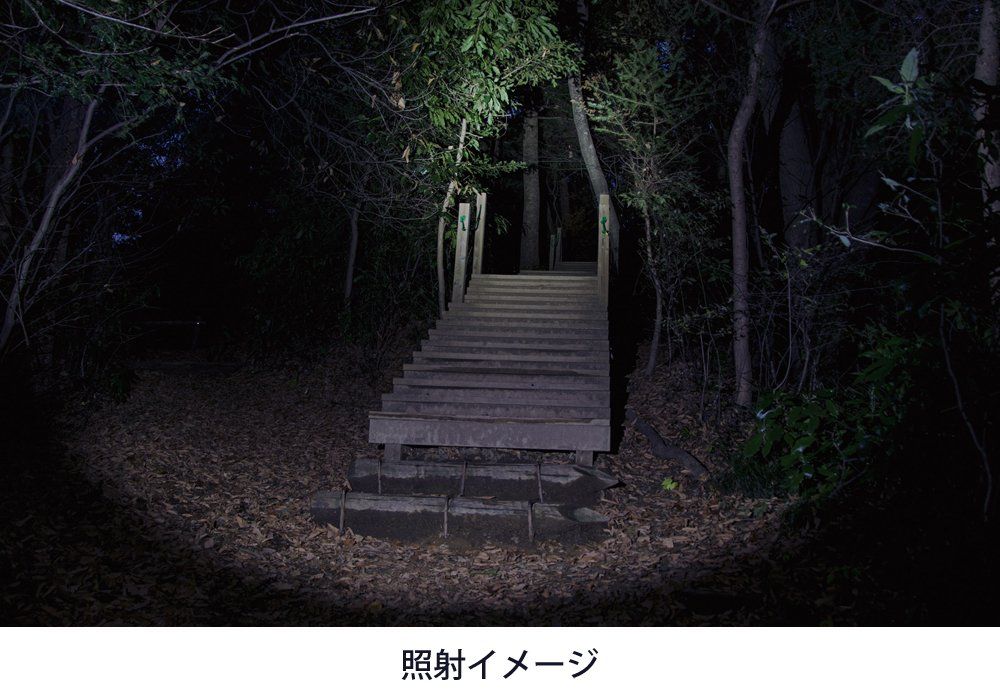 SIW】日動 LELMFL3W 電池式LED LEDスキマライト 【未使用】 日動 LEL