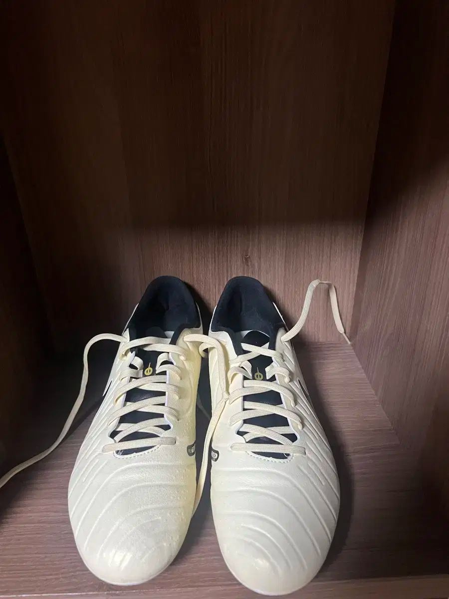 NIKE ティエンポ10 サッカーシューズ adidas コパ DREAM