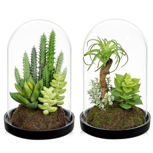 エアプランツ＆多肉植物 (ブロンズ)▫️フェイクグリーン・フェイク多肉植物 エアプランツ＆多肉植物 (ブロンズ)▫️フェイクグリーン